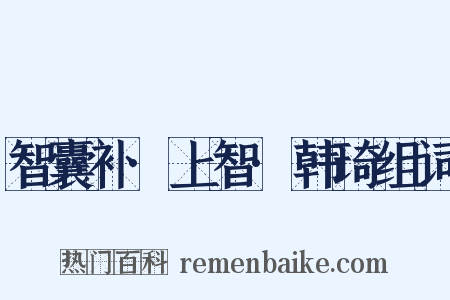 智囊补·上智·韩琦组词是什么意思的图片